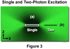 奧林巴斯顯微鏡 multiphotonintro figure3