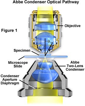 奧林巴斯顯微鏡 properties figure1